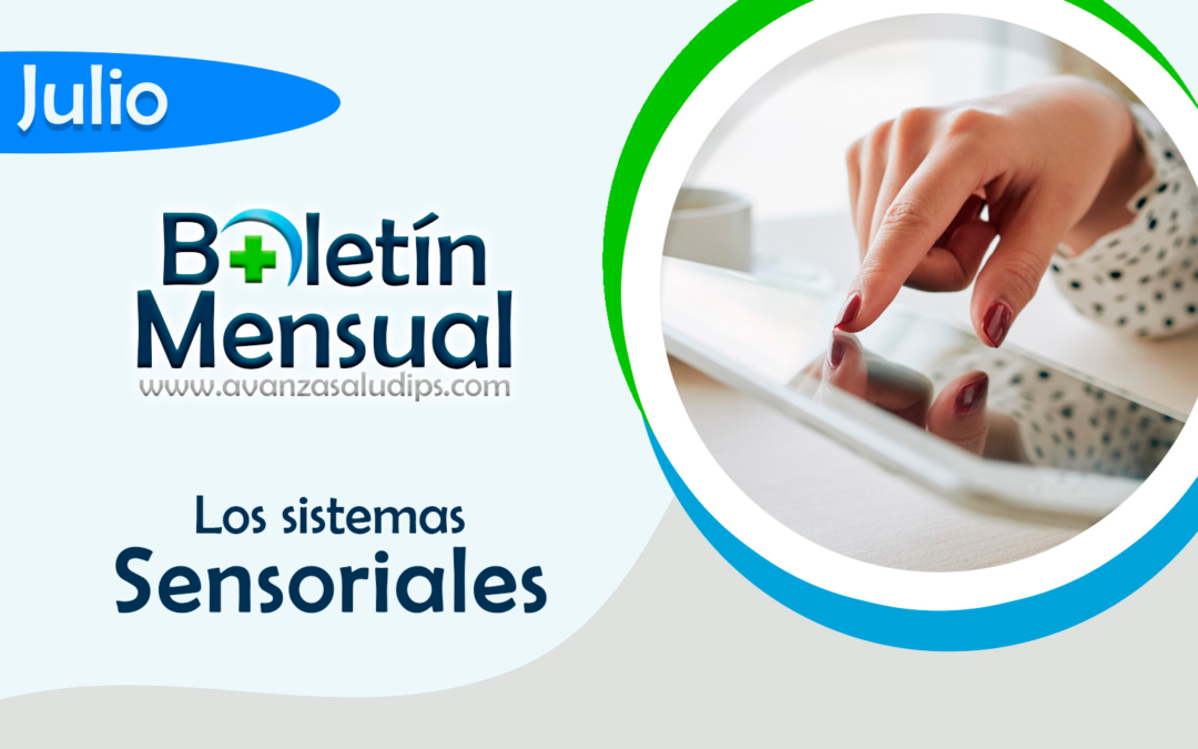 Boletín Julio 2022: Sistemas Sensoriales